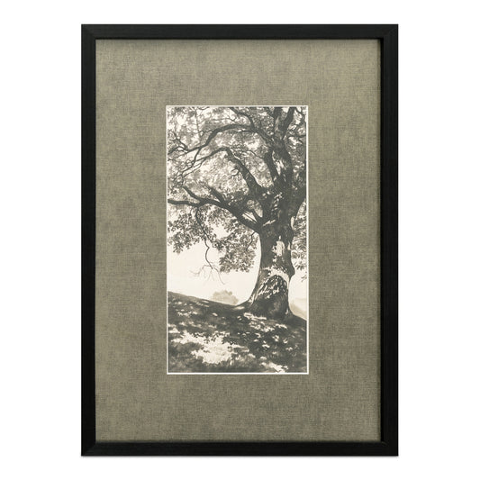 Arise Framed Print